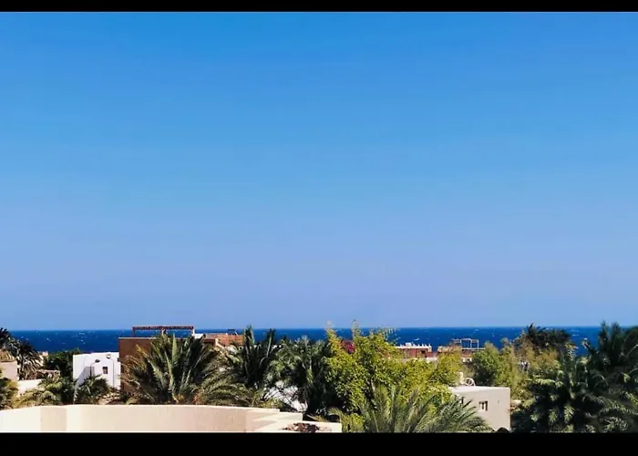 Blue Lotus Dahab